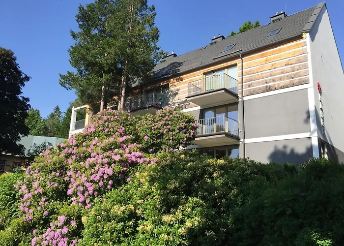 Grafitowy Laser Apartment