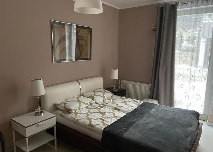 Apartment Grafitowy Laser