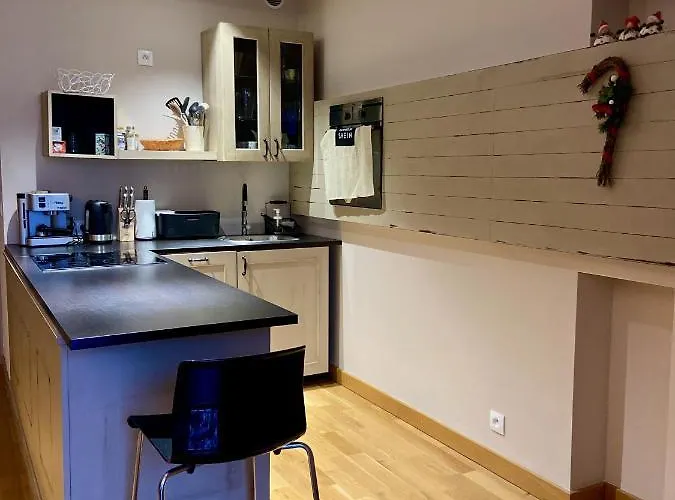 Apartment Grafitowy Laser Szklarska Poreba